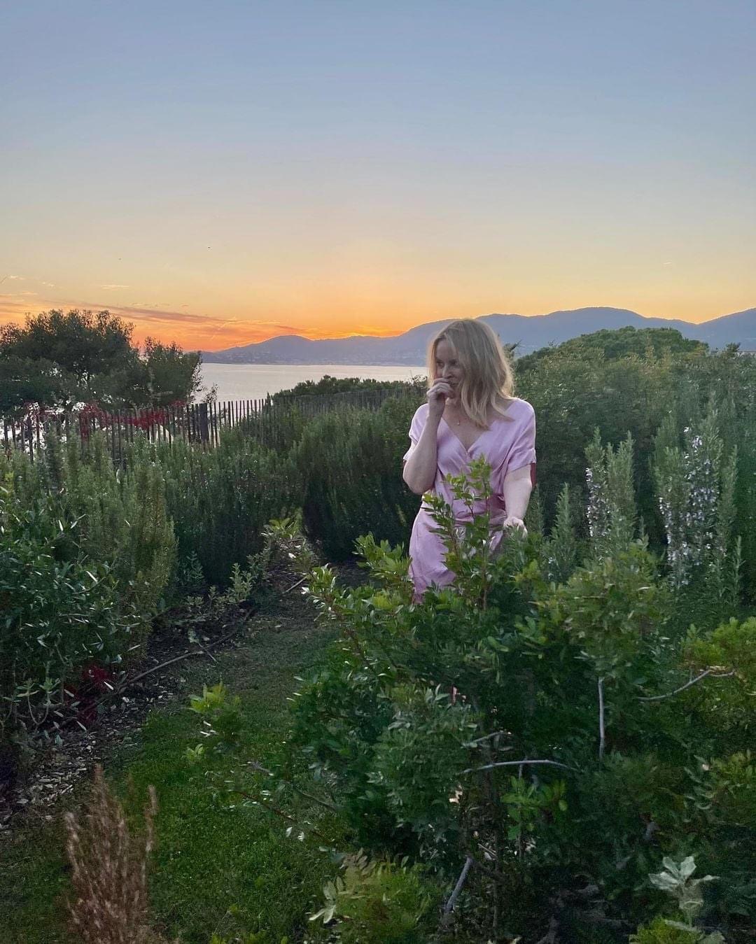 Kylie garden Blank Meme Template