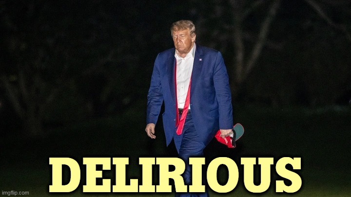 Trump Tulsa Big Fat Loser Defeat | DELIRIOUS | image tagged in trump tulsa big fat loser defeat,trump,crazy,insane,cuckoo | made w/ Imgflip meme maker