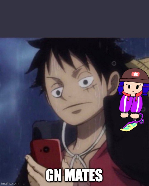 Really wanna get heroine bibi into memechat, anyways, gn | GN MATES | image tagged in luffy phone | made w/ Imgflip meme maker