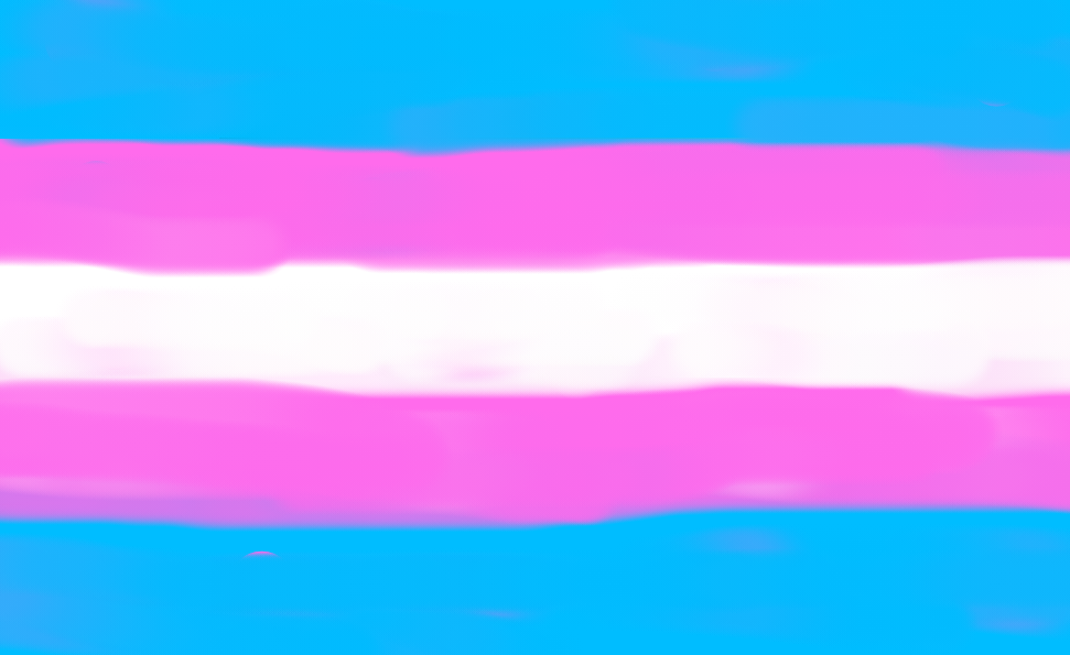 High Quality transgender flag Blank Meme Template