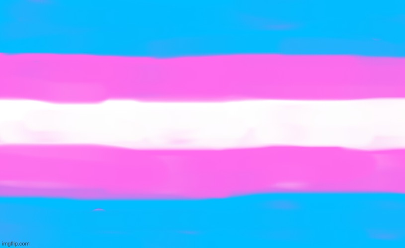 the trans flag | image tagged in transgender flag | made w/ Imgflip meme maker