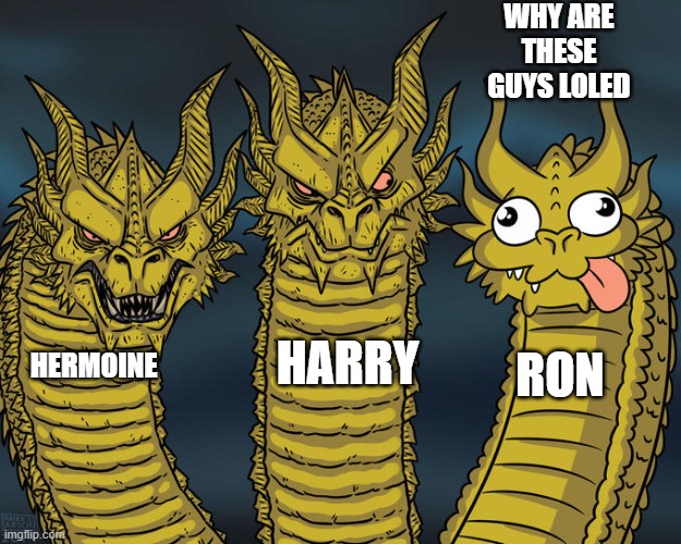 The Golden Trio is having a Ron which is uhh (Repost cuz it wont be on fun) | WHY ARE THESE GUYS LOLED; HARRY; RON; HERMOINE | image tagged in three-headed dragon | made w/ Imgflip meme maker