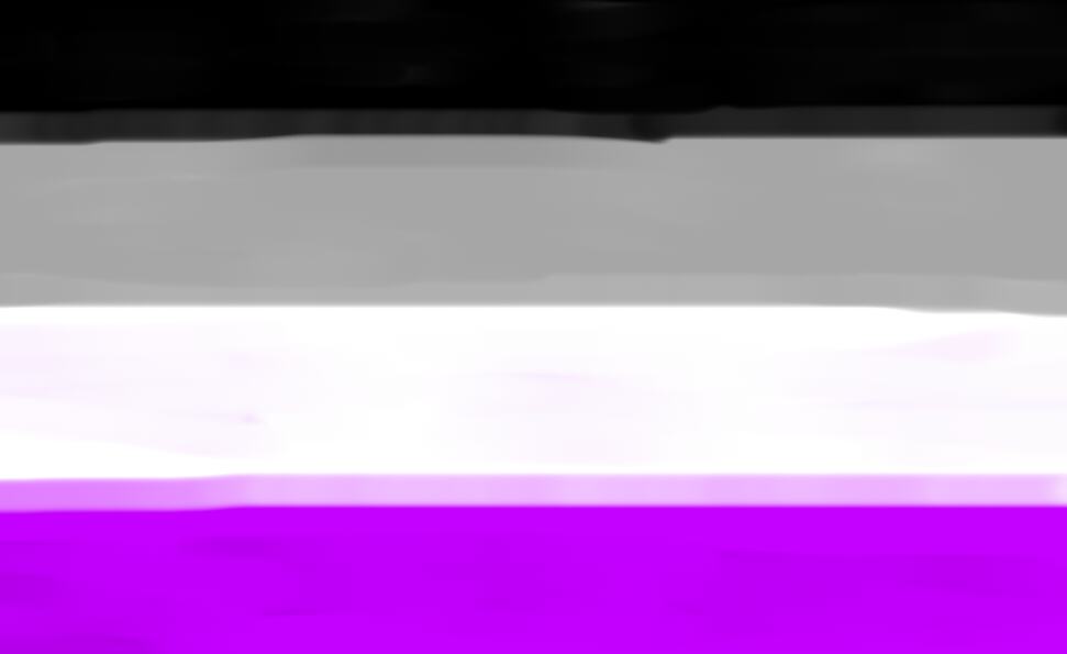 High Quality Asexual flag Blank Meme Template