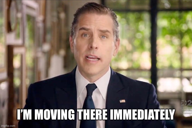 Hunter Biden | I’M MOVING THERE IMMEDIATELY | image tagged in hunter biden | made w/ Imgflip meme maker