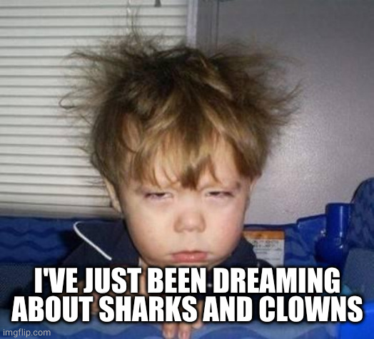 Wake up | I'VE JUST BEEN DREAMING ABOUT SHARKS AND CLOWNS | image tagged in wake up | made w/ Imgflip meme maker