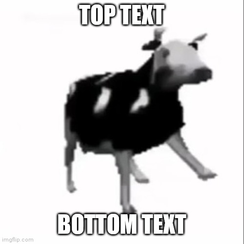 The ultimate duo | TOP TEXT; BOTTOM TEXT | image tagged in dancing polish cow | made w/ Imgflip meme maker
