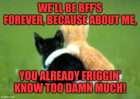 Bff's |  WE'LL BE BFF'S FOREVER, BECAUSE ABOUT ME, YOU ALREADY FRIGGIN' KNOW TOO DAMN MUCH! | image tagged in bff forever,cats,homies,amigos,keep your enemies closer,not butt buddies | made w/ Imgflip meme maker