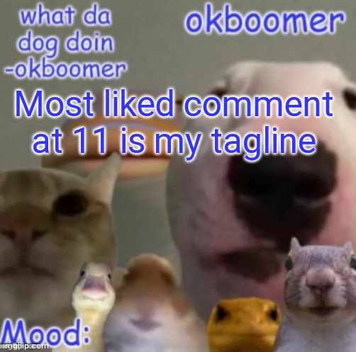 When the bored is bored! ? | Most liked comment at 11 is my tagline | image tagged in okboomer template v4 credit to yeetrex | made w/ Imgflip meme maker