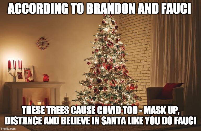 be -LIE- ve - rohb/rupe | ACCORDING TO BRANDON AND FAUCI; THESE TREES CAUSE COVID TOO - MASK UP, DISTANCE AND BELIEVE IN SANTA LIKE YOU DO FAUCI | image tagged in liars,fauci | made w/ Imgflip meme maker