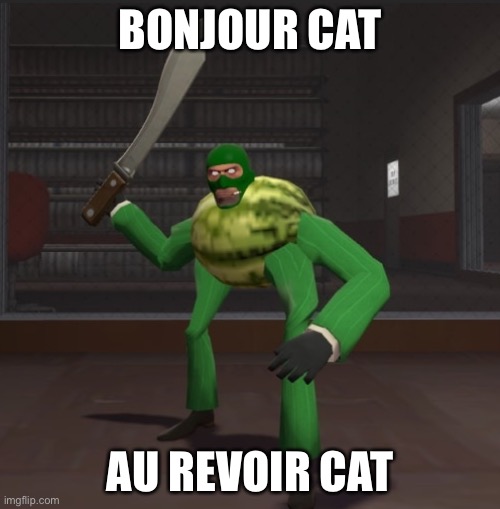 Spymelon | BONJOUR CAT; AU REVOIR CAT | image tagged in spymelon | made w/ Imgflip meme maker