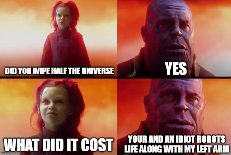 Bad title | YES; DID YOU WIPE HALF THE UNIVERSE; YOUR AND AN IDIOT ROBOTS LIFE ALONG WITH MY LEFT ARM; WHAT DID IT COST | image tagged in what did it cost | made w/ Imgflip meme maker