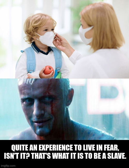slave | QUITE AN EXPERIENCE TO LIVE IN FEAR, ISN'T IT? THAT'S WHAT IT IS TO BE A SLAVE. | image tagged in mother child with masks,roy batty | made w/ Imgflip meme maker