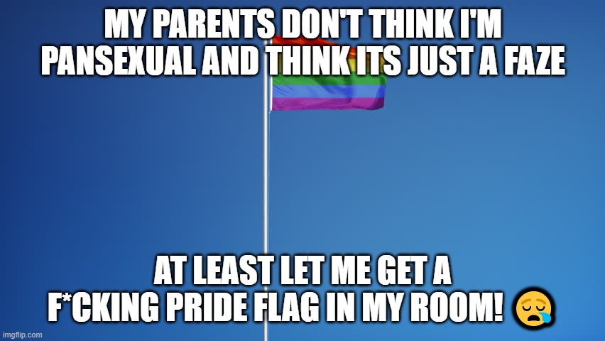 LET ME GET THIS PLEASEEE | MY PARENTS DON'T THINK I'M PANSEXUAL AND THINK ITS JUST A FAZE; AT LEAST LET ME GET A F*CKING PRIDE FLAG IN MY ROOM! 😪 | image tagged in lgbtq flag | made w/ Imgflip meme maker