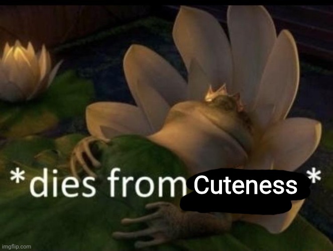 Dies from cringe | Cuteness | image tagged in dies from cringe | made w/ Imgflip meme maker