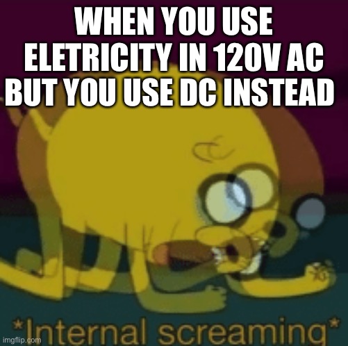 Some electrician will know this | WHEN YOU USE ELETRICITY IN 120V AC; BUT YOU USE DC INSTEAD | image tagged in jake the dog internal screaming | made w/ Imgflip meme maker