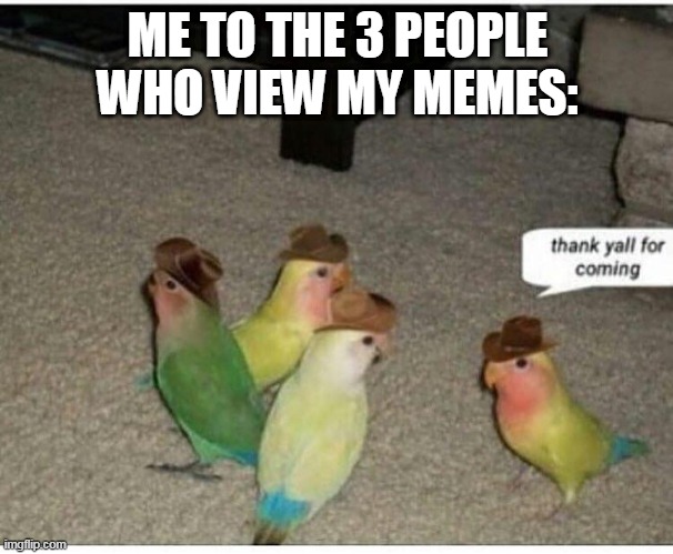ME TO THE 3 PEOPLE WHO VIEW MY MEMES: | image tagged in birds,viewers,this is true | made w/ Imgflip meme maker