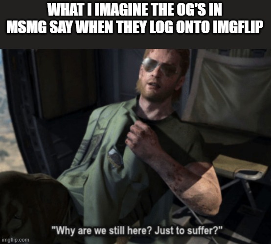 Why are we still here? Just to suffer? | WHAT I IMAGINE THE OG'S IN MSMG SAY WHEN THEY LOG ONTO IMGFLIP | image tagged in why are we still here just to suffer | made w/ Imgflip meme maker