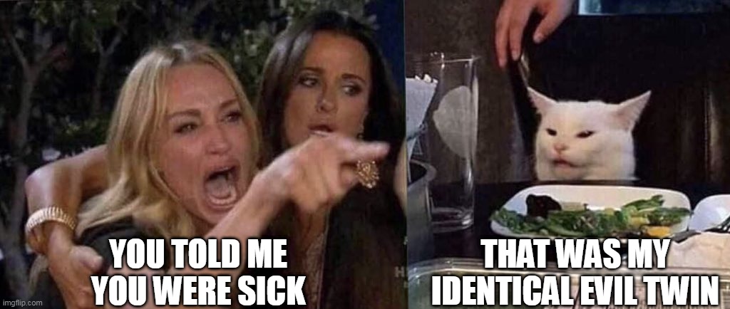 woman yelling at cat | YOU TOLD ME YOU WERE SICK; THAT WAS MY IDENTICAL EVIL TWIN | image tagged in woman yelling at cat | made w/ Imgflip meme maker