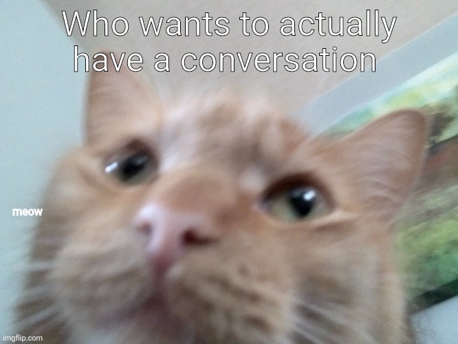 Who wants to actually have a conversation; meow | made w/ Imgflip meme maker