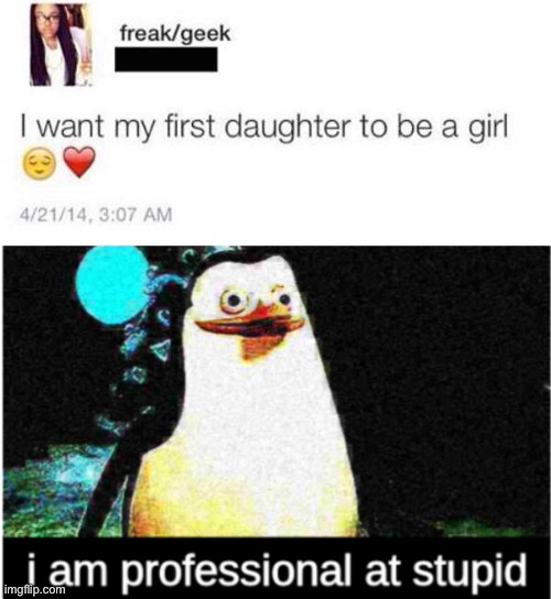 bruh, daughters are girls- | image tagged in i am professional at stupid,stupid,funny,social media,twitter,do you are have stupid | made w/ Imgflip meme maker