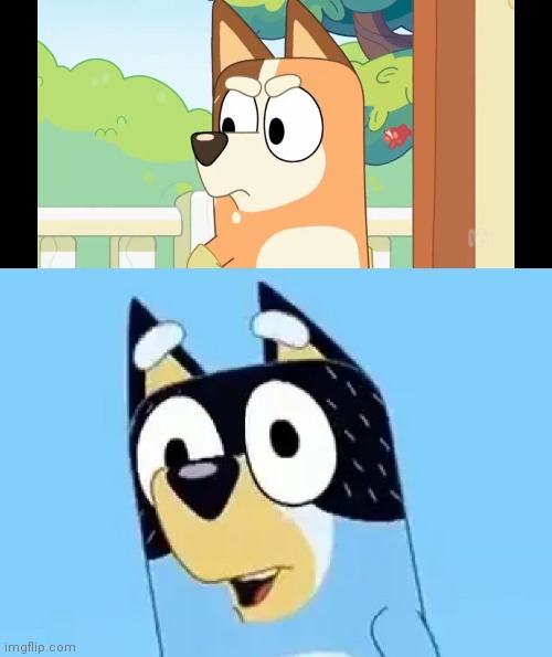 image tagged in angry chilli,bandit | made w/ Imgflip meme maker