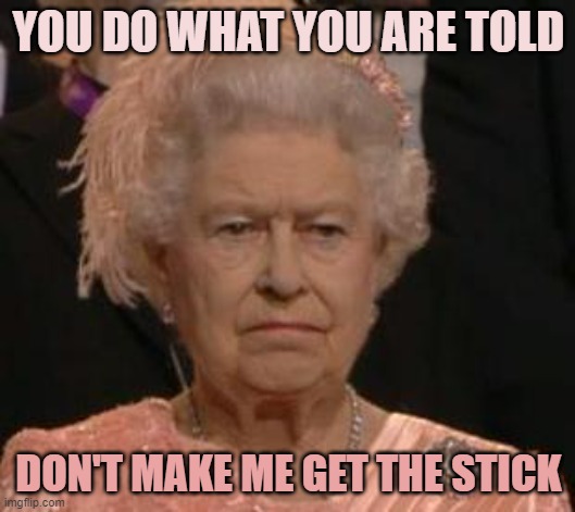 queen | YOU DO WHAT YOU ARE TOLD DON'T MAKE ME GET THE STICK | image tagged in queen | made w/ Imgflip meme maker