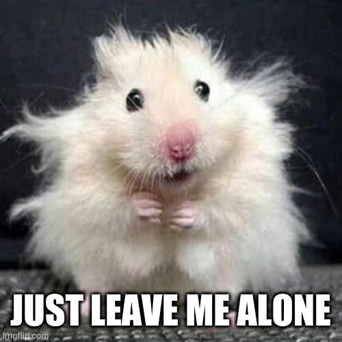 Stressed Mouse | JUST LEAVE ME ALONE | image tagged in stressed mouse | made w/ Imgflip meme maker