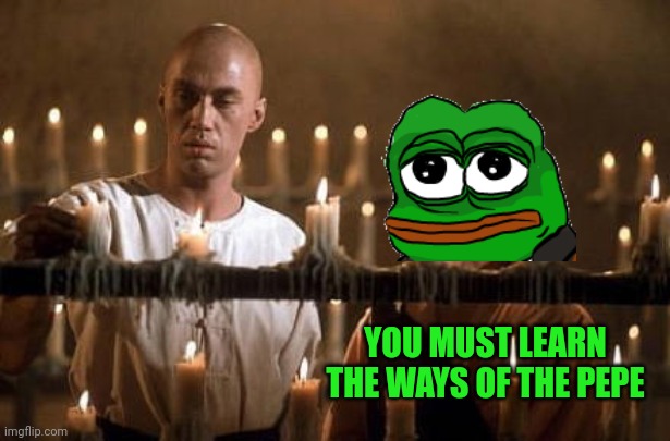 Kung fu pepe | YOU MUST LEARN THE WAYS OF THE PEPE | image tagged in kung fu grasshopper,pepe the frog,kung fu,frog | made w/ Imgflip meme maker