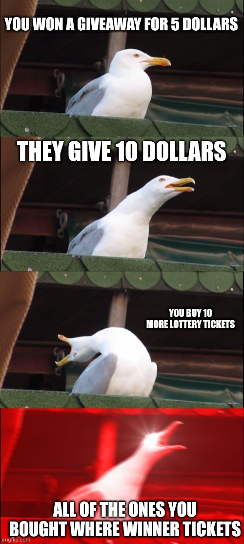 Inhaling Seagull Meme | YOU WON A GIVEAWAY FOR 5 DOLLARS; THEY GIVE 10 DOLLARS; YOU BUY 10 MORE LOTTERY TICKETS; ALL OF THE ONES YOU BOUGHT WHERE WINNER TICKETS | image tagged in memes,inhaling seagull | made w/ Imgflip meme maker