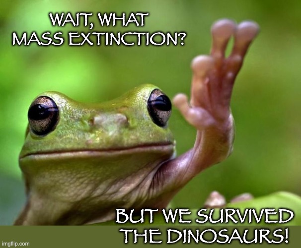 A serious (but cute) moment |  WAIT, WHAT MASS EXTINCTION? BUT WE SURVIVED THE DINOSAURS! | image tagged in angry tree frog,angry,extinction,climate change | made w/ Imgflip meme maker