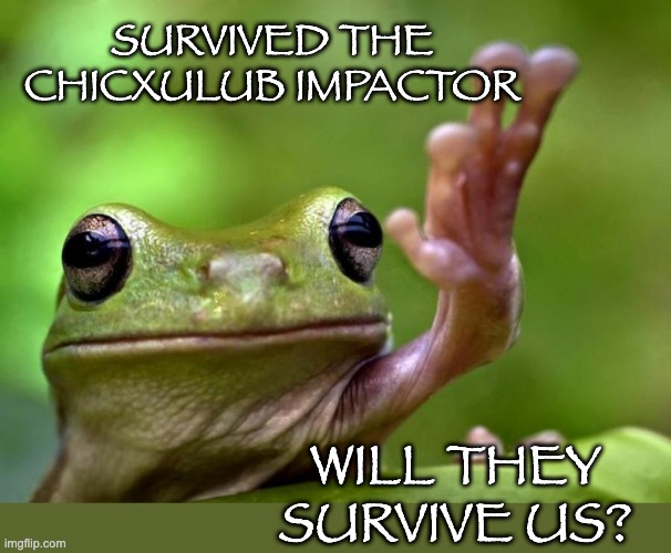 Frogs--tougher than 75% of Mesozoic life, but vulnerable to climate change | SURVIVED THE CHICXULUB IMPACTOR; WILL THEY SURVIVE US? | image tagged in angry tree frog,extinction,dinosaurs,frogs,climate change | made w/ Imgflip meme maker