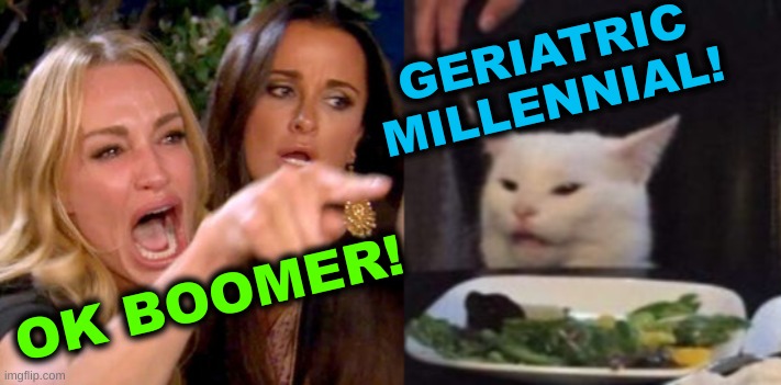 truth hurts |  GERIATRIC
MILLENNIAL! OK BOOMER! | image tagged in woman yelling at cat cropped,millennials,ok boomer,savage memes,dark humor,aging | made w/ Imgflip meme maker