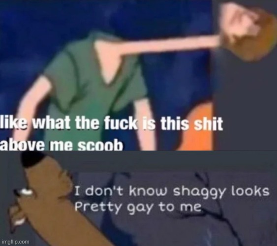 The post above is gay | image tagged in like what the f ck is this sh t above me scoob,i dunno shaggy | made w/ Imgflip meme maker