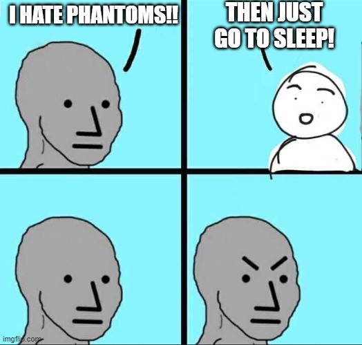 Just go to sleep! | THEN JUST GO TO SLEEP! I HATE PHANTOMS!! | image tagged in npc meme,memes,lol,minecraft | made w/ Imgflip meme maker