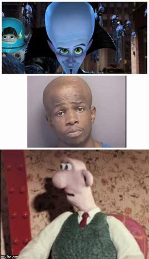 image tagged in memes,wallace and gromit,megamind | made w/ Imgflip meme maker
