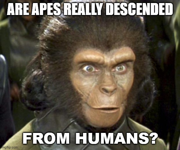 Are apes really descended from humans? | ARE APES REALLY DESCENDED; FROM HUMANS? | image tagged in planet of the apes zira | made w/ Imgflip meme maker