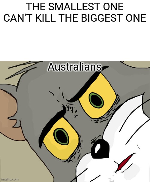 Even butterflies are dangerous out there | THE SMALLEST ONE CAN'T KILL THE BIGGEST ONE; Australians | image tagged in memes,unsettled tom | made w/ Imgflip meme maker
