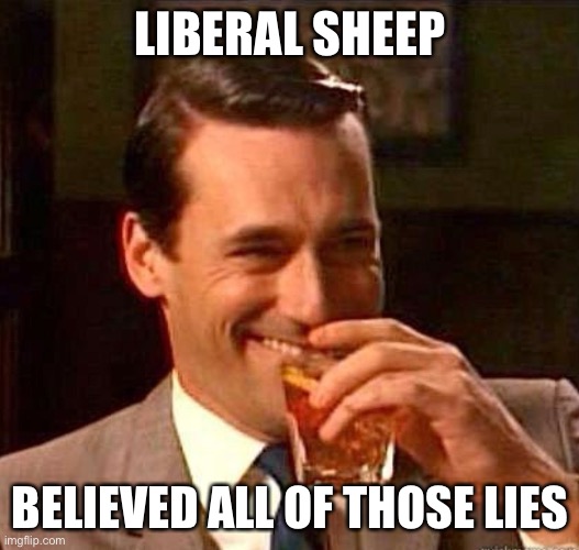 Mad Men | LIBERAL SHEEP BELIEVED ALL OF THOSE LIES | image tagged in mad men | made w/ Imgflip meme maker