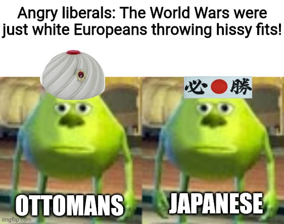 They're called world wars for a reason |  Angry liberals: The World Wars were just white Europeans throwing hissy fits! OTTOMANS; JAPANESE | image tagged in blank white template,sully wazowski,world war i,world war ii,liberals | made w/ Imgflip meme maker