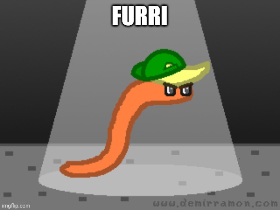 Furri | FURRI | made w/ Imgflip meme maker