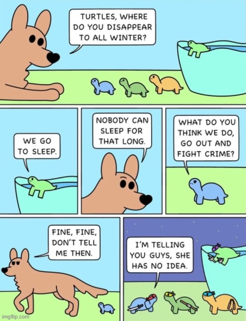 image tagged in comics,ninja turtles | made w/ Imgflip meme maker