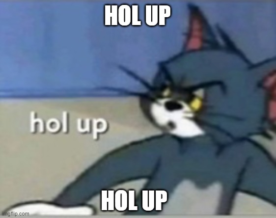 Hol up | HOL UP HOL UP | image tagged in hol up | made w/ Imgflip meme maker