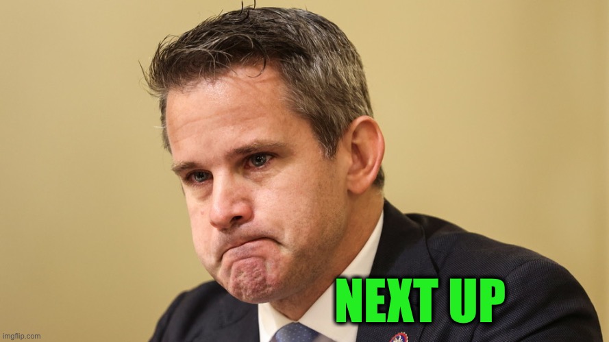 Adam Kinzinger crying | NEXT UP | image tagged in adam kinzinger crying | made w/ Imgflip meme maker