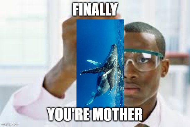 fact | FINALLY; YOU'RE MOTHER | image tagged in finally | made w/ Imgflip meme maker