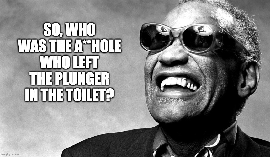 Ray Charles | SO, WHO WAS THE A**HOLE WHO LEFT THE PLUNGER IN THE TOILET? | image tagged in blind man | made w/ Imgflip meme maker
