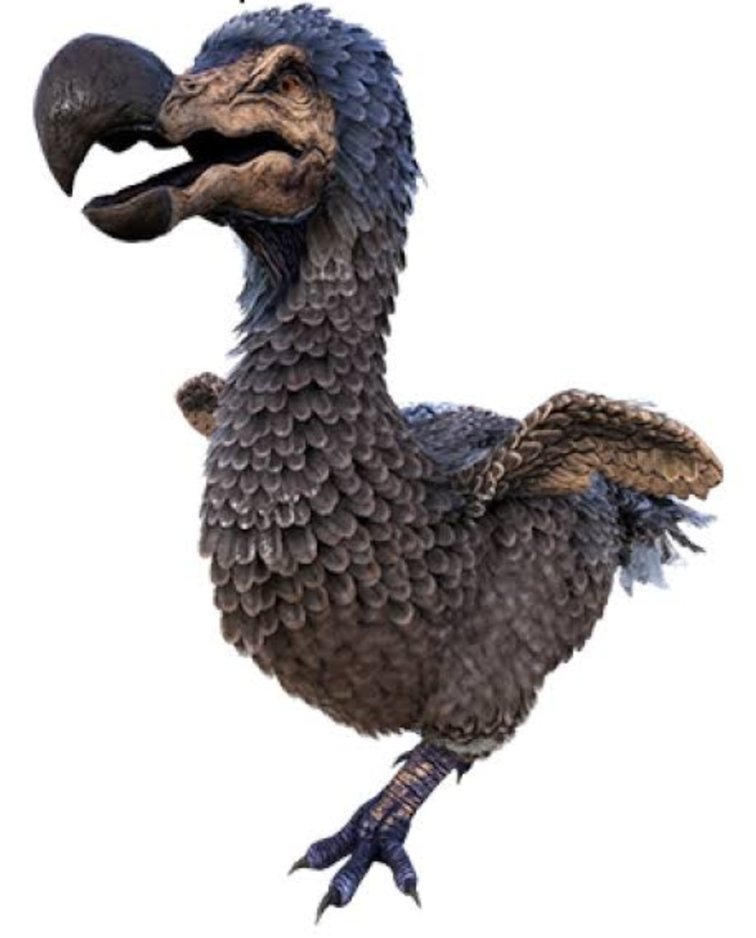 High Quality Ark dodo Blank Meme Template