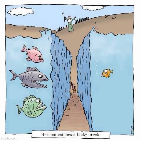 image tagged in comics/cartoons | made w/ Imgflip meme maker