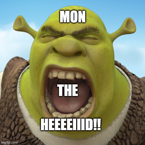 Shouting Shrek | MON; THE; HEEEEIIID!! | image tagged in shouting shrek | made w/ Imgflip meme maker