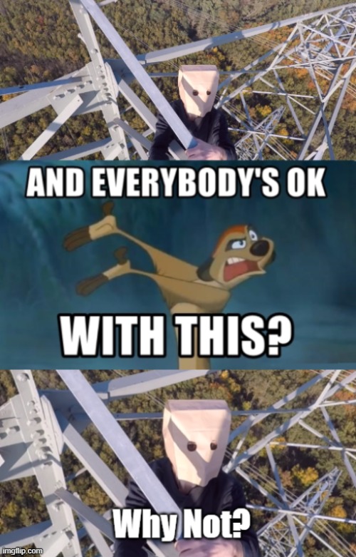 Timon | image tagged in timon | made w/ Imgflip meme maker