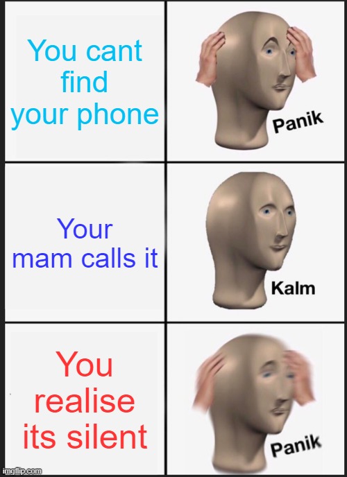 Half my life | You cant find your phone; Your mam calls it; You realise its silent | image tagged in memes,panik kalm panik | made w/ Imgflip meme maker